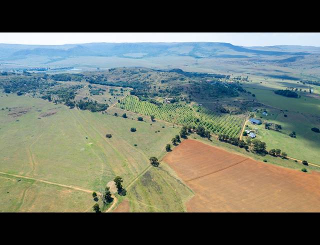FARM FOR SALE IN HEIDELBERG AH